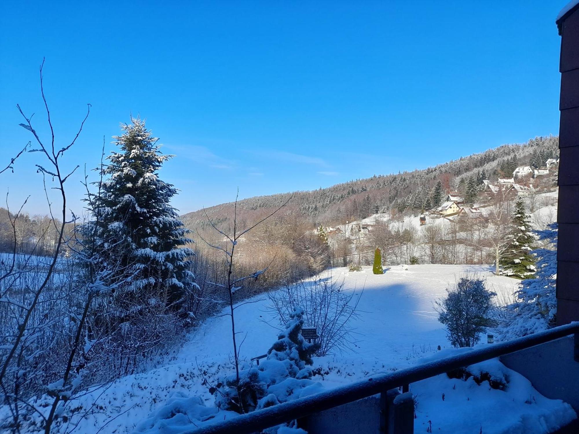 Ferienwohnung Schwarzwald Pur Sasbachwalden Exterior foto