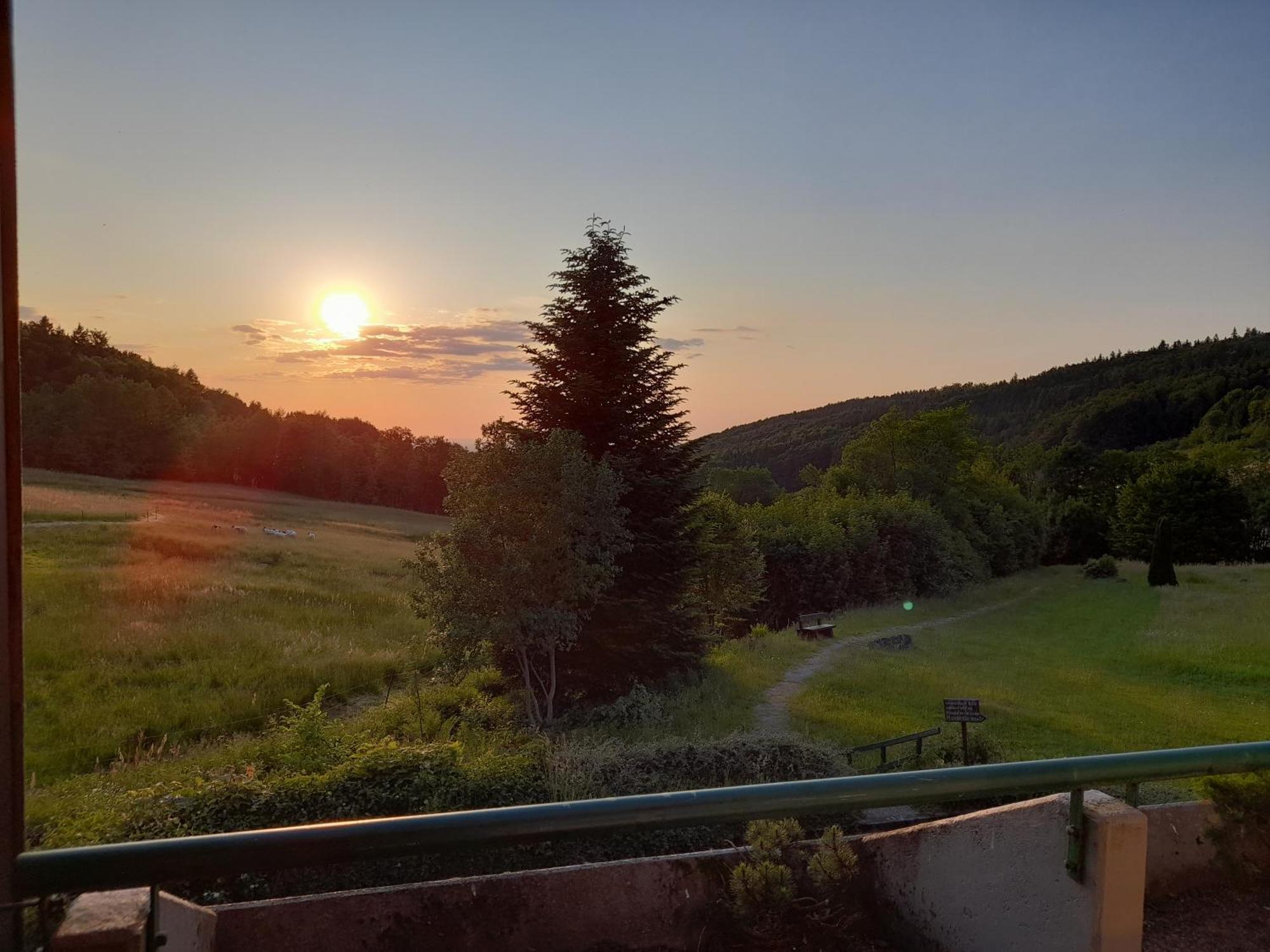 Ferienwohnung Schwarzwald Pur Sasbachwalden Exterior foto