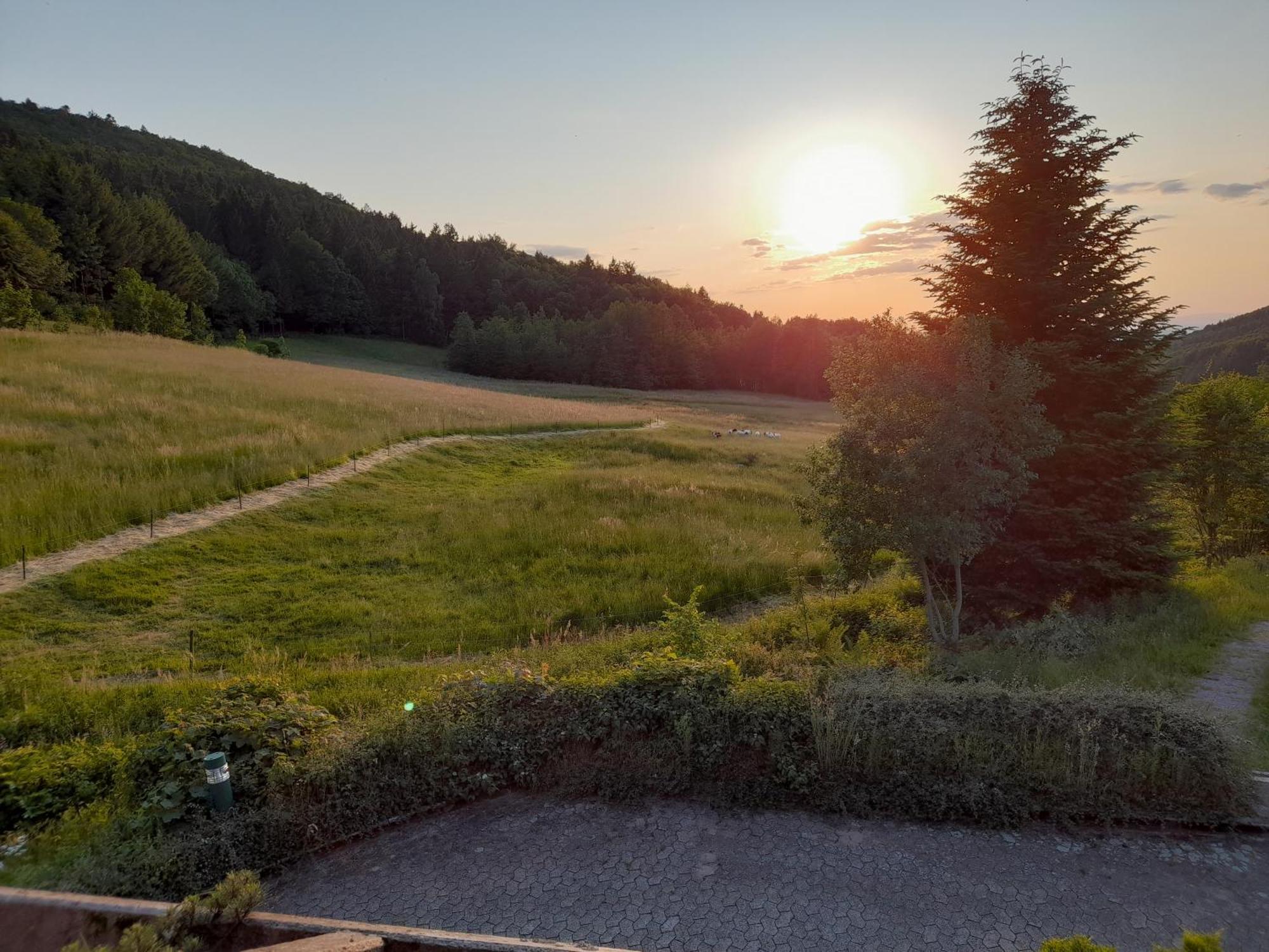 Ferienwohnung Schwarzwald Pur Sasbachwalden Exterior foto